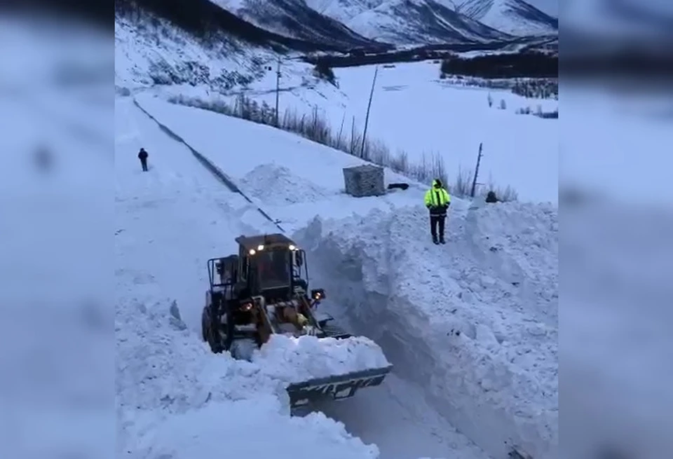 Фото: скриншот видео из соцсетей