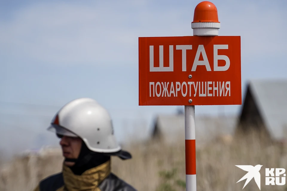 Общая площадь пожаров составила 4,7 Га