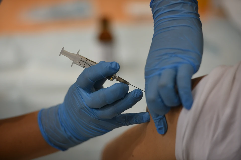 При укусе бешенного животного необходима своевременная вакцинация