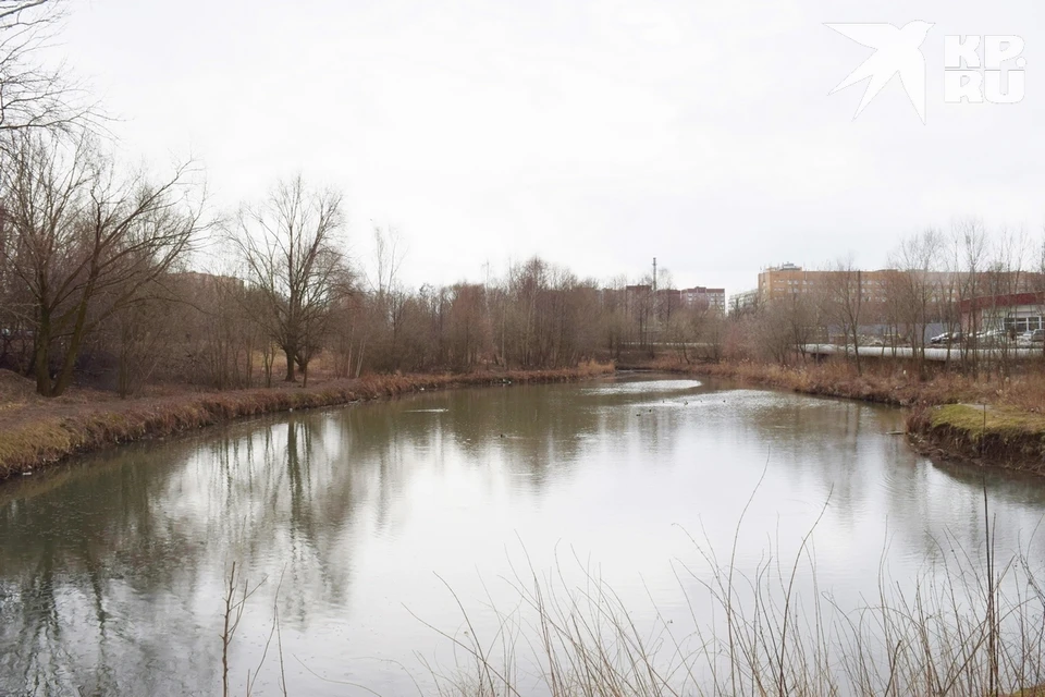 Благоустраивать будут территорию возле водоема на улице Новоселов со стороны горбольницы №11.