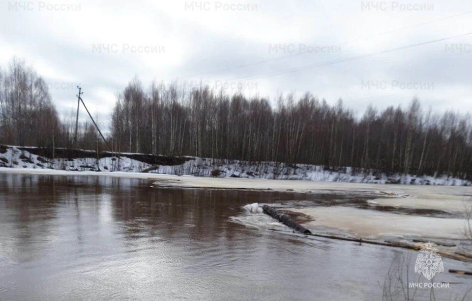 Фото: пресс-служба ГУ МЧС России по Костромской области