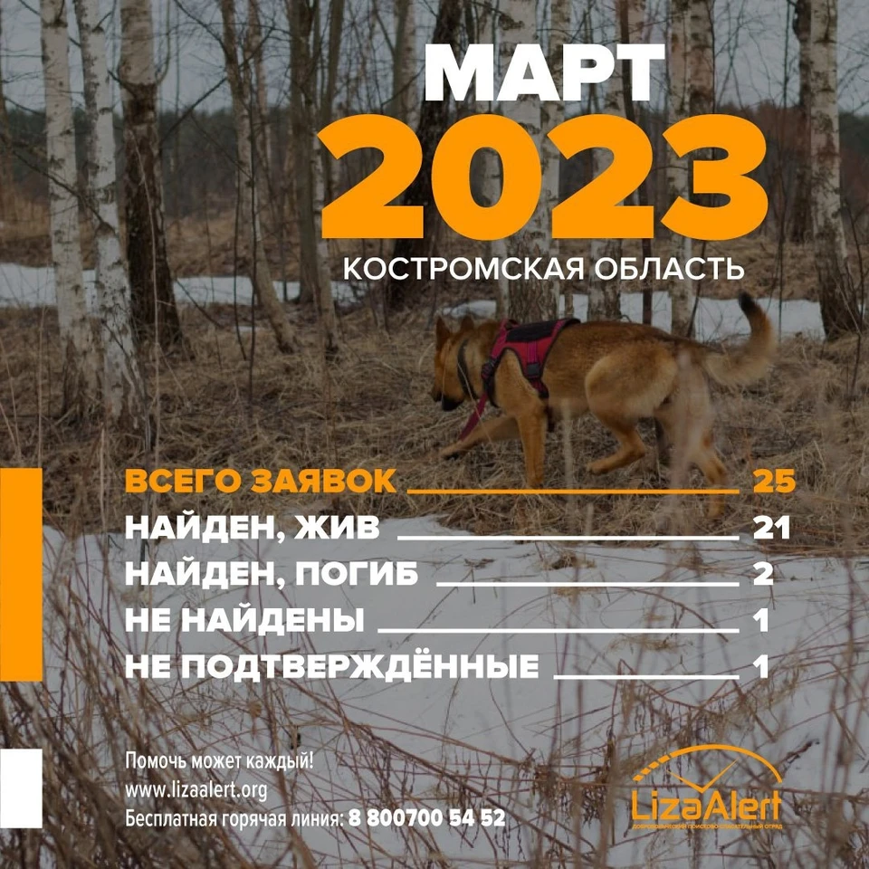 Фото: ДПСО "Лиза Алерт" Костромской области