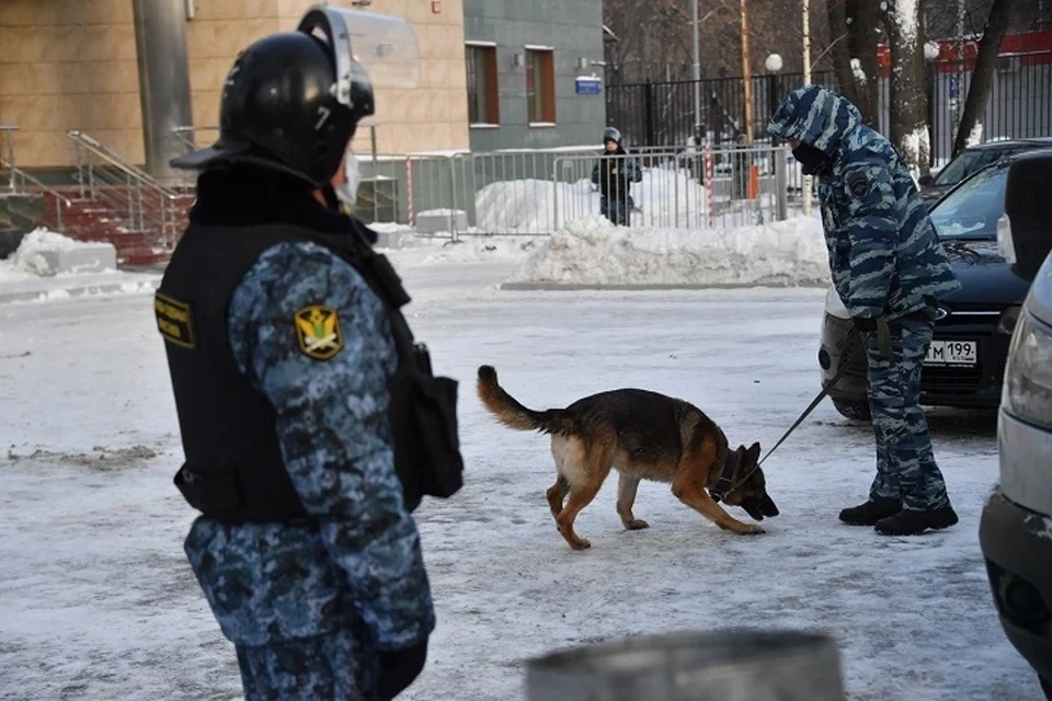 На северо-востоке Москвы нашли более 20 гранат в мусорном контейнере