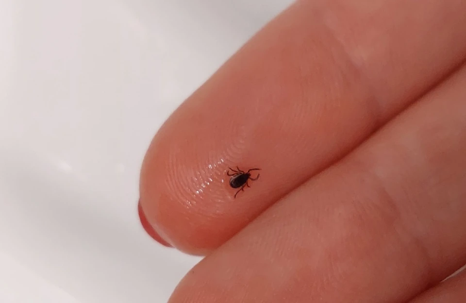 Фото: Ольга Супонева