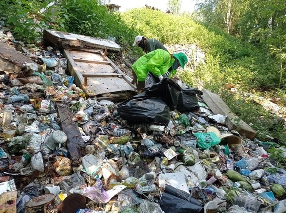 В Куркинсом районе Тульской области уберут несанкционированную свалку