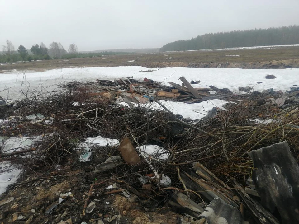 Фото: прокуратура Владимирской области