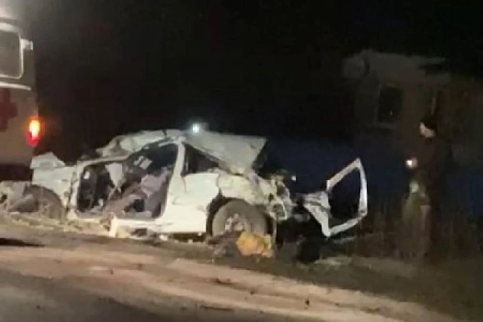 27-летний житель Пронска влетел в дерево и разбился насмерть. Фото: ИД «Пресса».