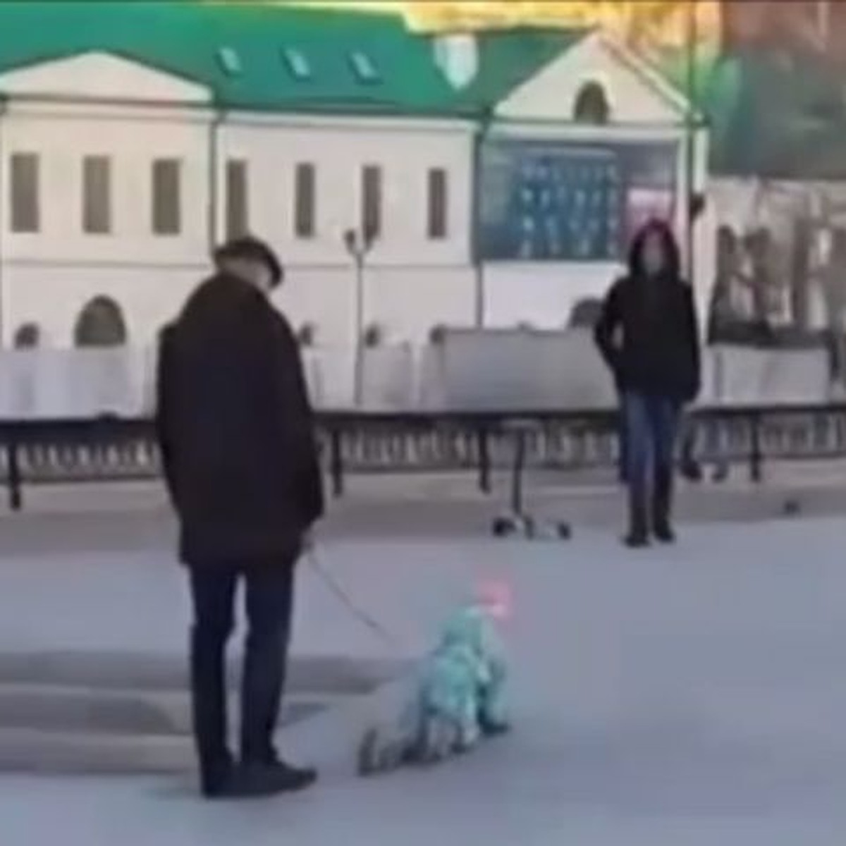 ребенка на поводке  Мужчину, гулявшего с ребенком «на поводке» в Екатеринбурге затравили в  социальных сетях - KP.RU