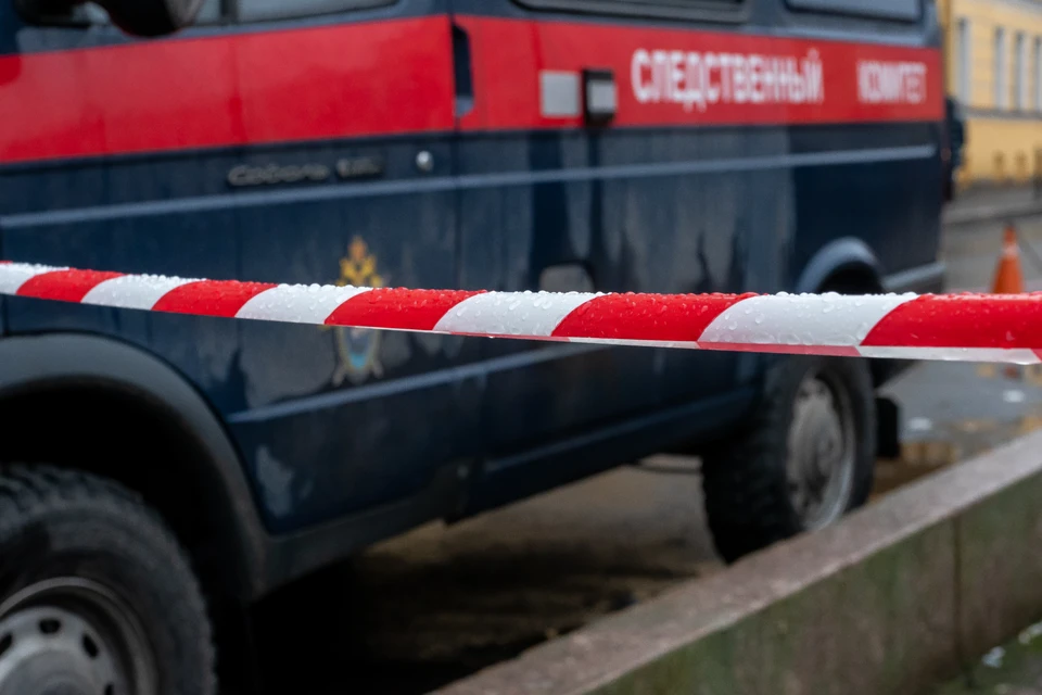 Женщину удалось спасти