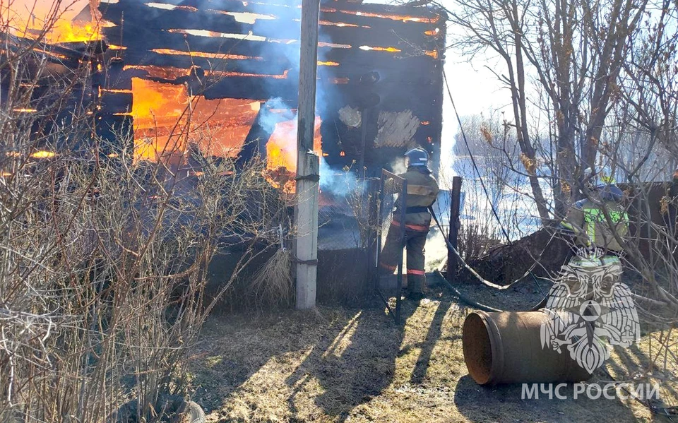 Фото: пресс-служба ГУ МЧС по Томской области