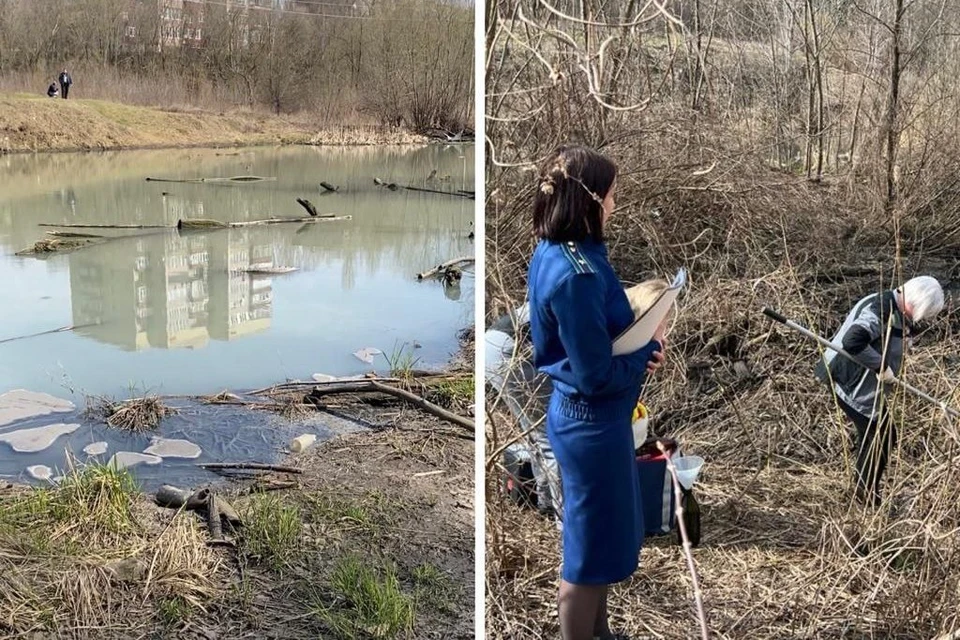 В Липецке пенсионерка пожаловалась на сточные воды, загрязняющие реку Липовка