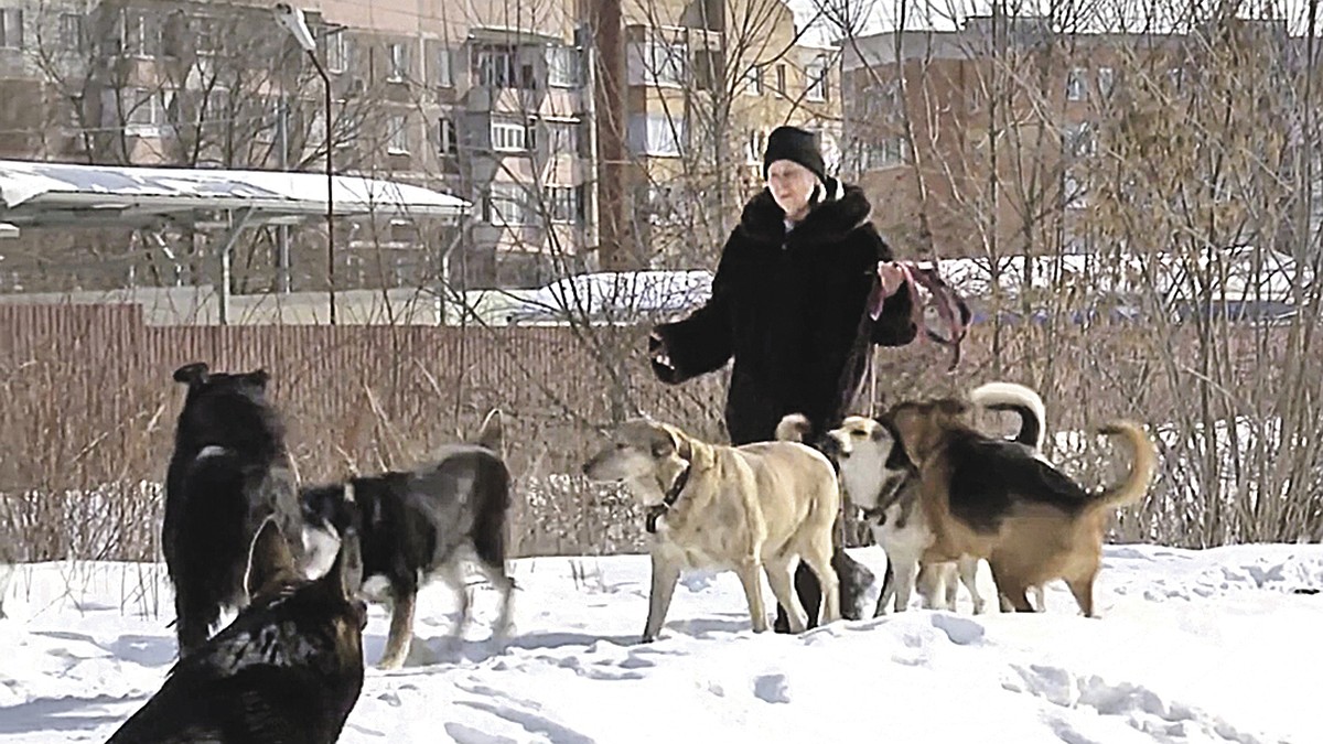 «Буду защищать животных до последнего вздоха!»: жители Серпухова требуют  выселить пенсионерку, которая завела свору псов и голубей - KP.RU