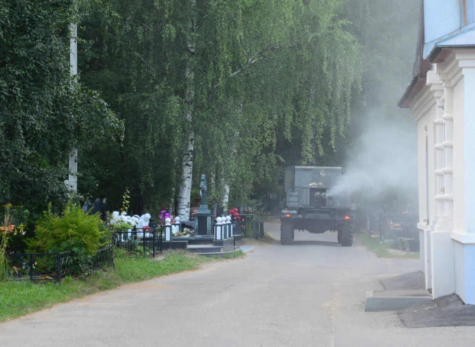Фото: grad.kostroma.gov.ru