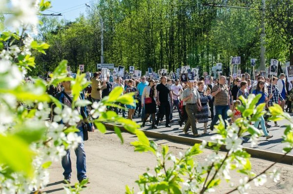 Фото: https://www.moypolk.ru/kostroma
