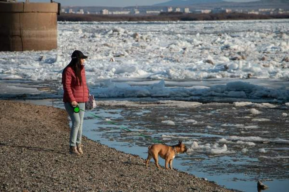 Заболеваемость ОРВИ снижается в Хабаровске Фото: администрация Хабаровска