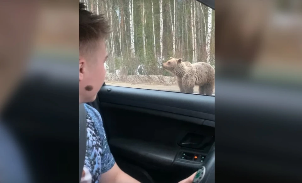 Скриншот видео