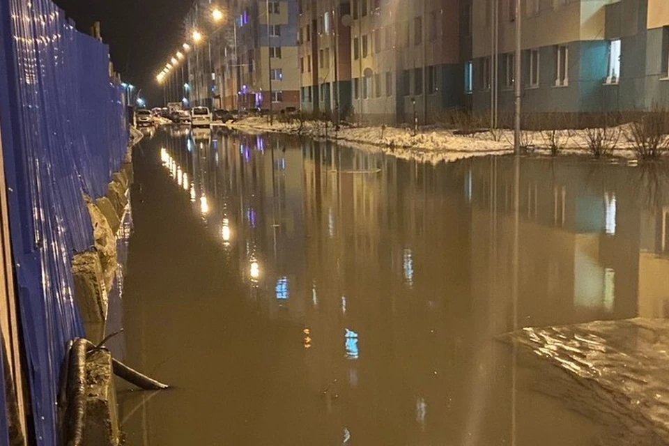 Фото: соцсети