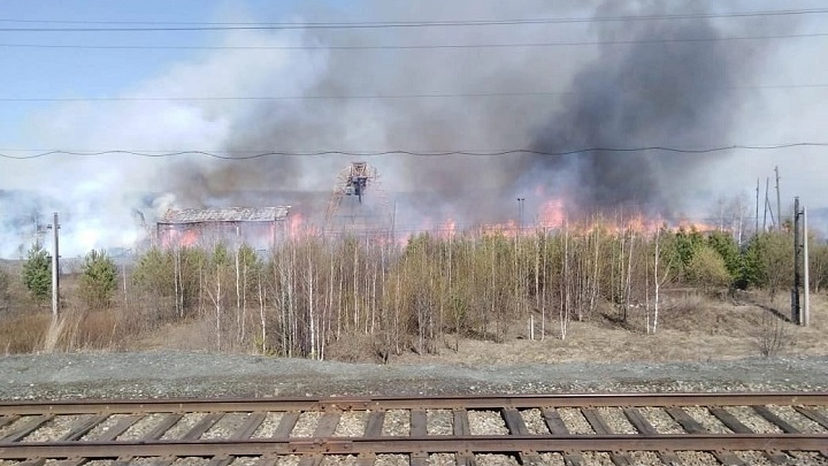 Под Екатеринбургом огонь охватил пилораму в большом поселке - KP.RU