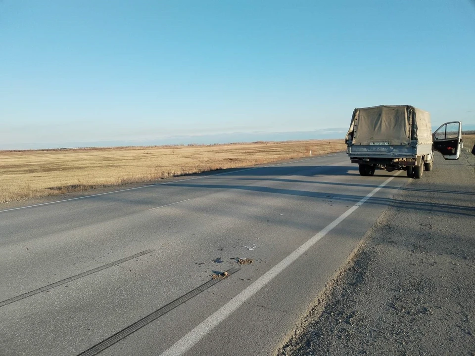 Фото: ГУ МВД по Челябинской области
