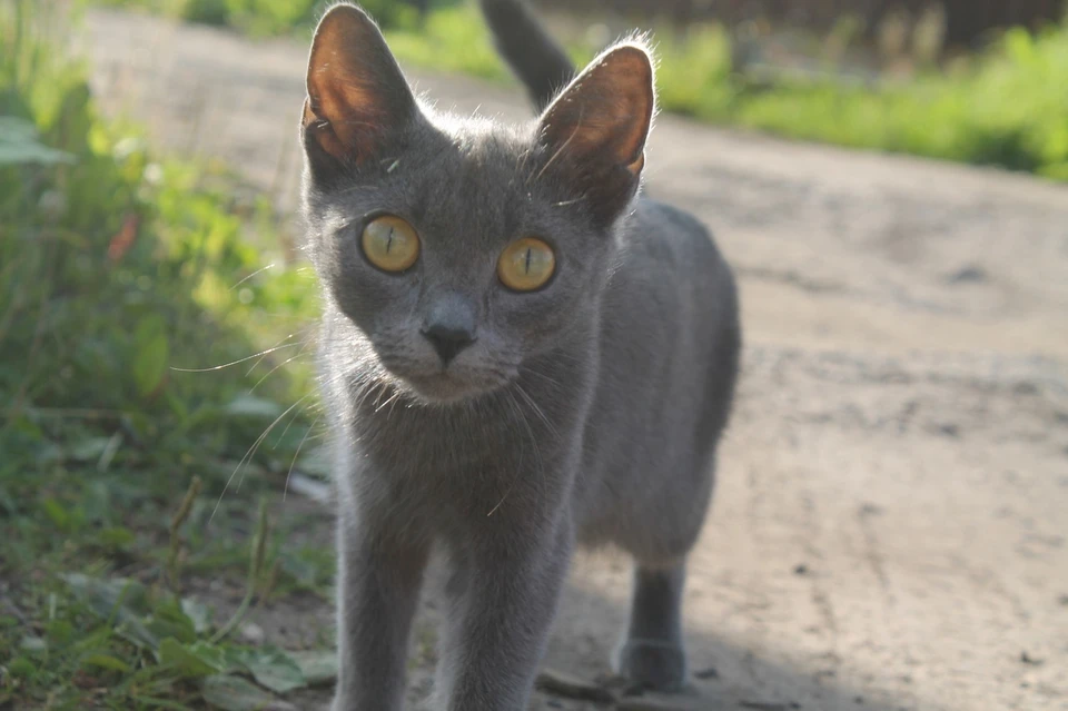Фото: Нина ЮШКОВА.