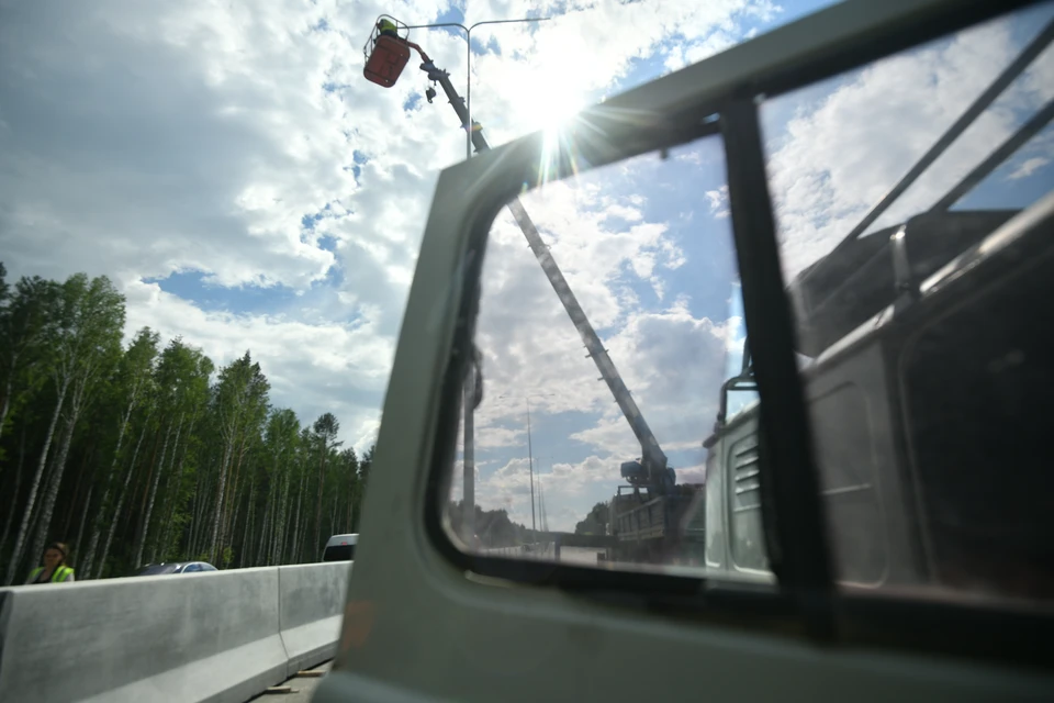 Воронежцы опасаются, что во время строительства дороги вырубят много деревьев.