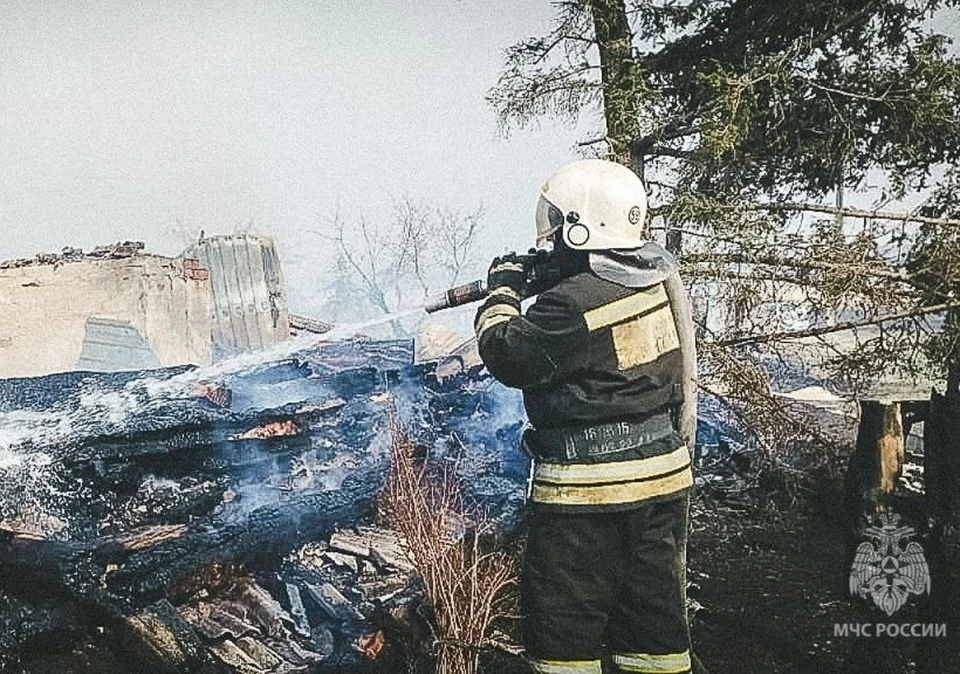 Фото: ГУ МЧС России по Омской области