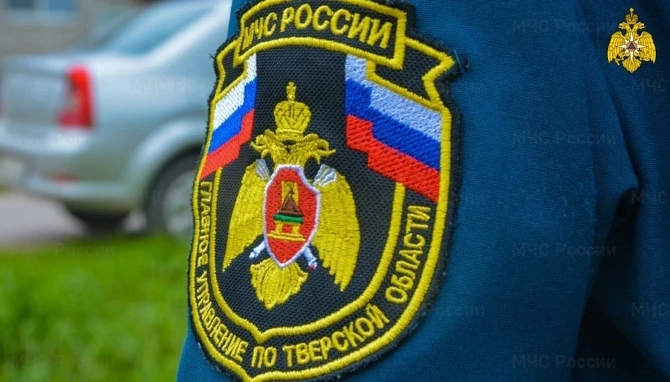 В Твери обезвредили три минометные мины Фото: ГУ МЧС России по Тверской области