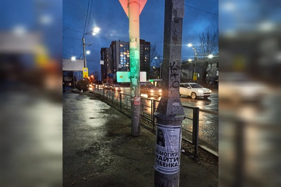 Поиски пропавшего 9-летнего мальчика завершились успешно. Фото: «ЛизаАлерт» Томской области