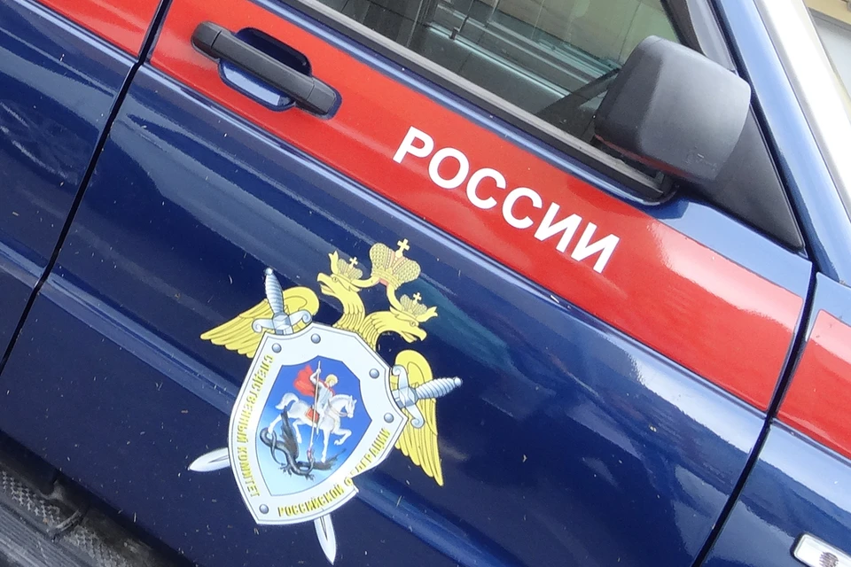 В Ишиме осудят женщину, которая четыре раза воткнула нож в грудь супругу