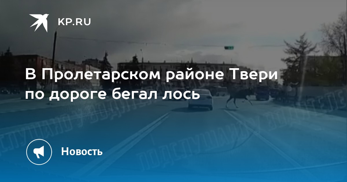 Магазин обоев в твери в пролетарском районе