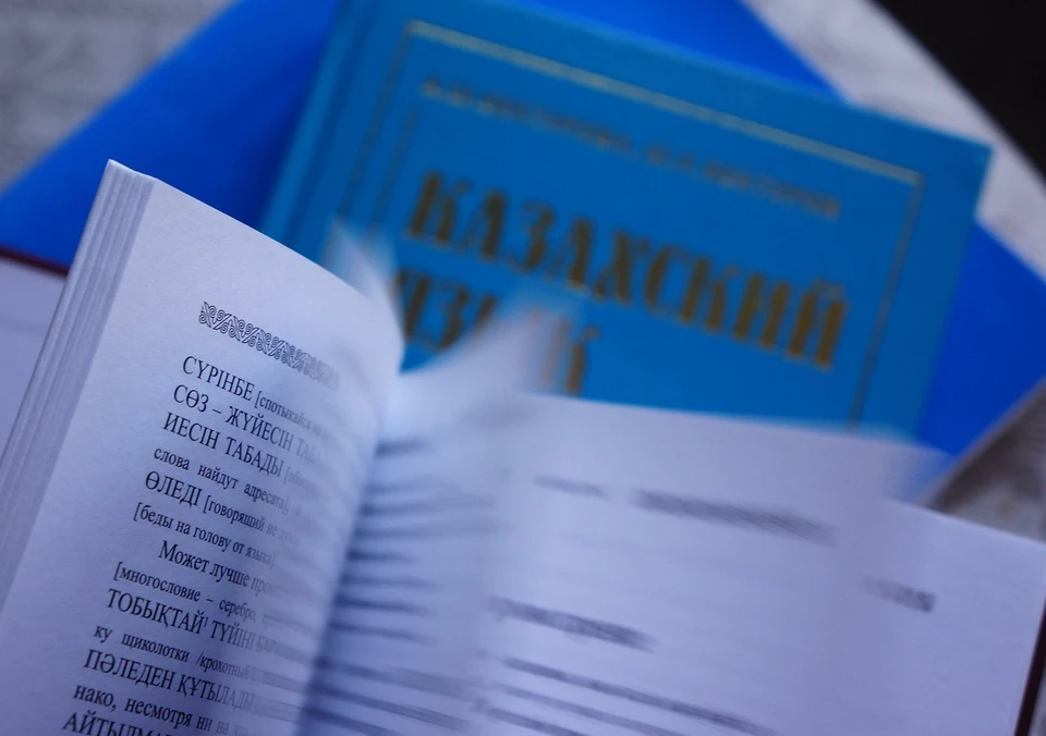 Член Республиканского общественного объединения «Ассамблея жастары», председатель Союза уйгурской молодежи Казахстана Рустам Кайрыев рассказал о новом проекте по популяризации государственного языка среди казахстанцев.