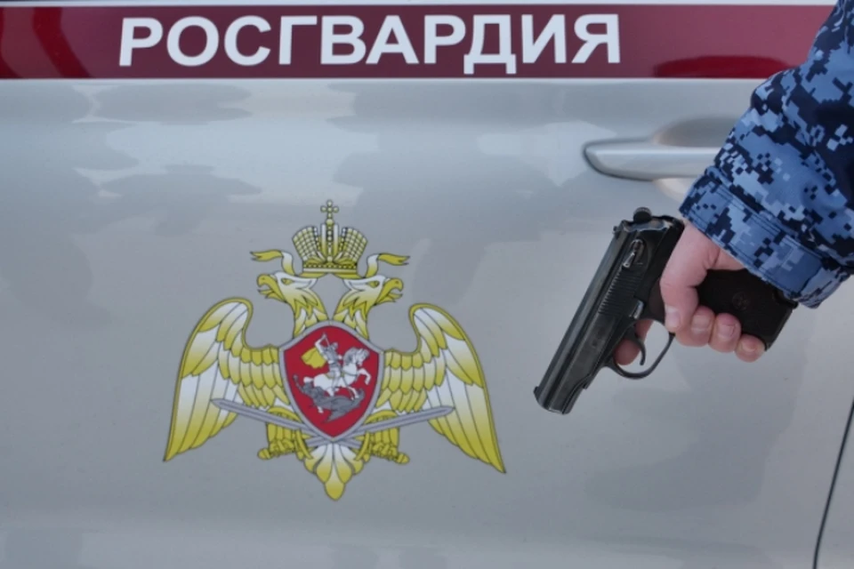 Задержанных передали полиции для дальнейшего разбирательства.