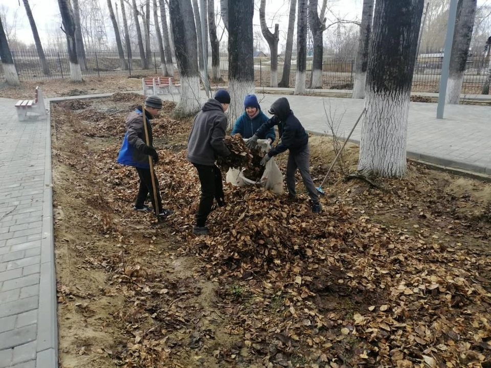 В Томской области прошло 177 субботников
