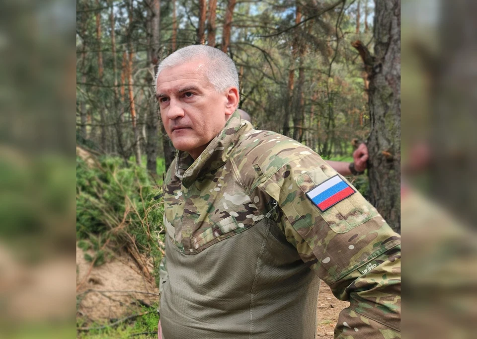 Фото: телеграм-канал Сергея Аксенова