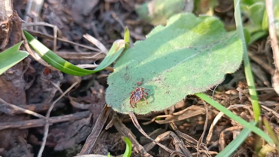 Фото: Елена Зябкина