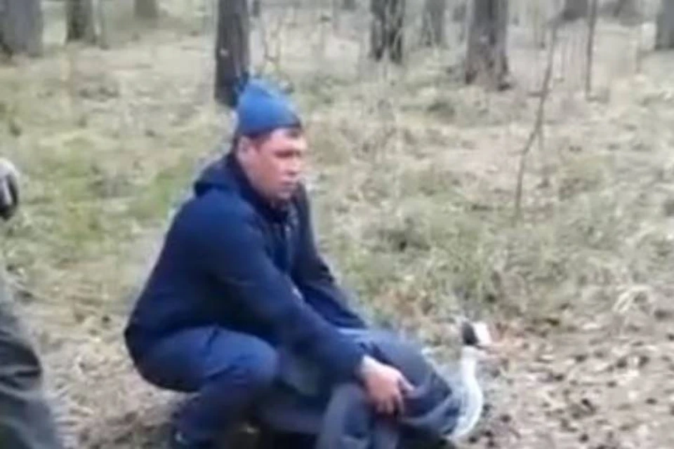 Фото: скриншот видео