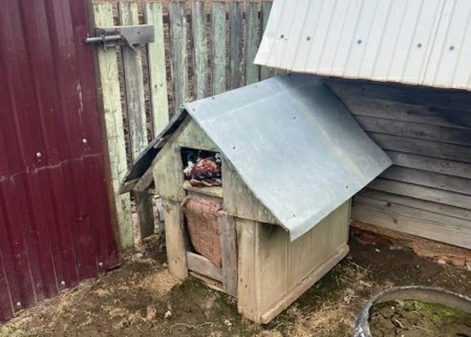 Наркотики в собачьей будке нашли полицейские в Хабаровском крае