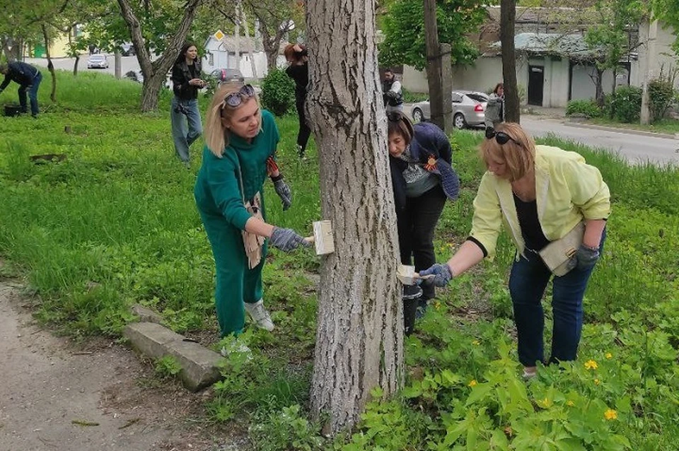 Субботник в Симферополе. Фото: администрация города