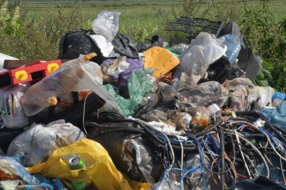 Всего оказалось захламлено 240 кв метров территории.