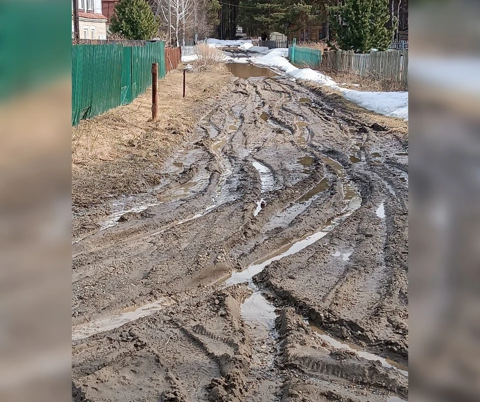 СК по Томской области займется проблемной дорогой в селе Половинка. Фото: "Народный фронт"