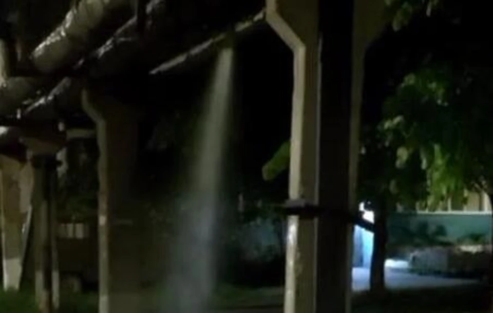 Фото: скриншот с видео