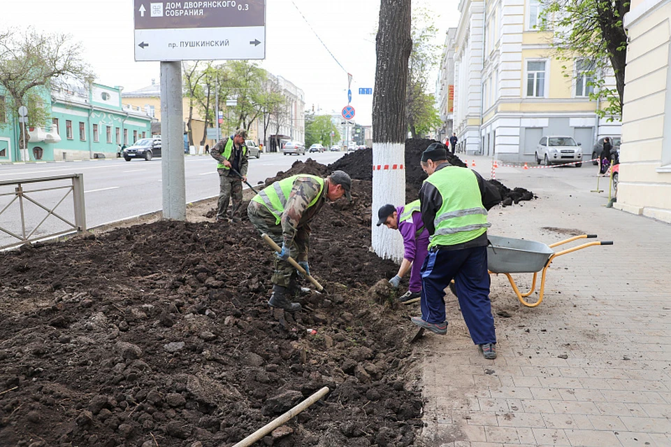 В Туле приводят в нормативное состояние газоны