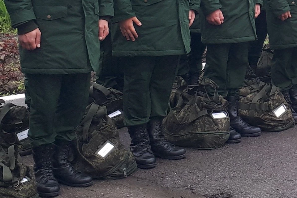 Сборы проводятся ежегодно, в том числе и на территории Ростовской области. Фото: правительство Ростовской области.