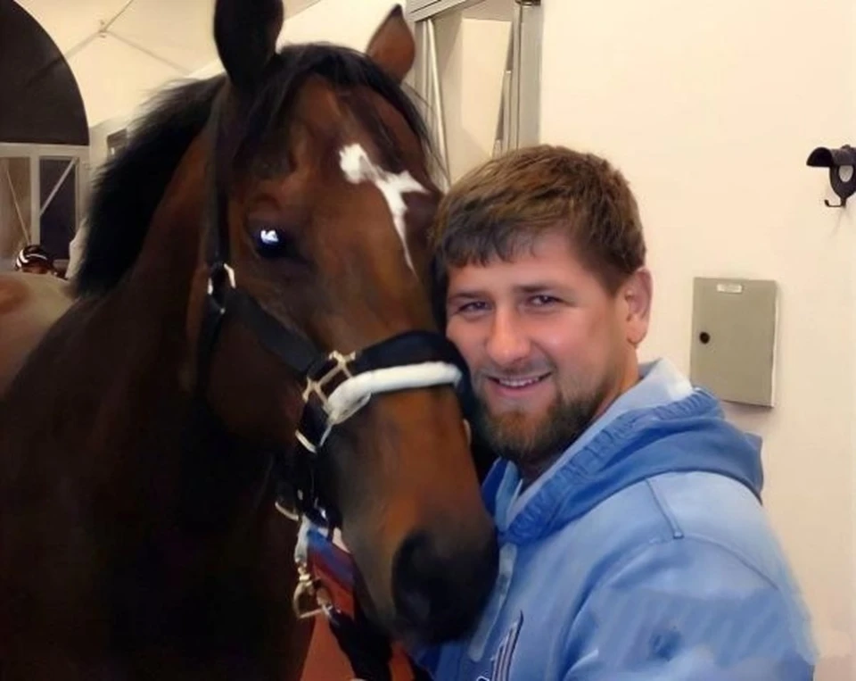 Кадыров сообщил, что выкупил у спецслужб Украины похищенного в Чехии коня за 18 тысяч долларов Фото: Telegram-канал Рамзана Кадырова