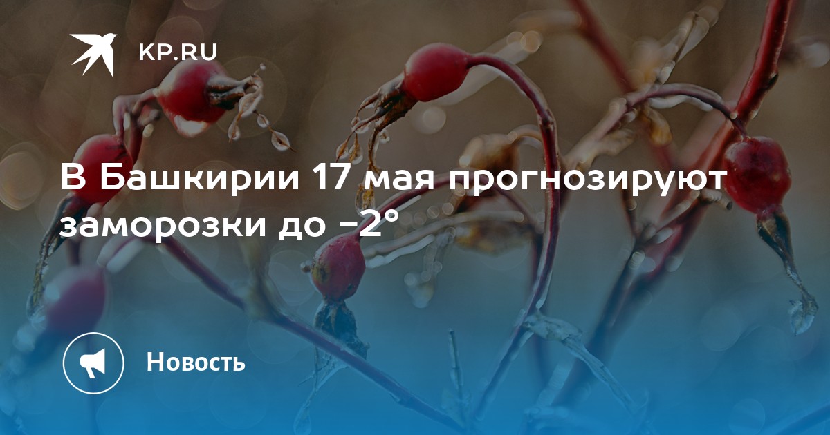 17 июня в башкирии выходной или нет. Заморозки до –2° ожидают в Крыму 6 и 7 мая.