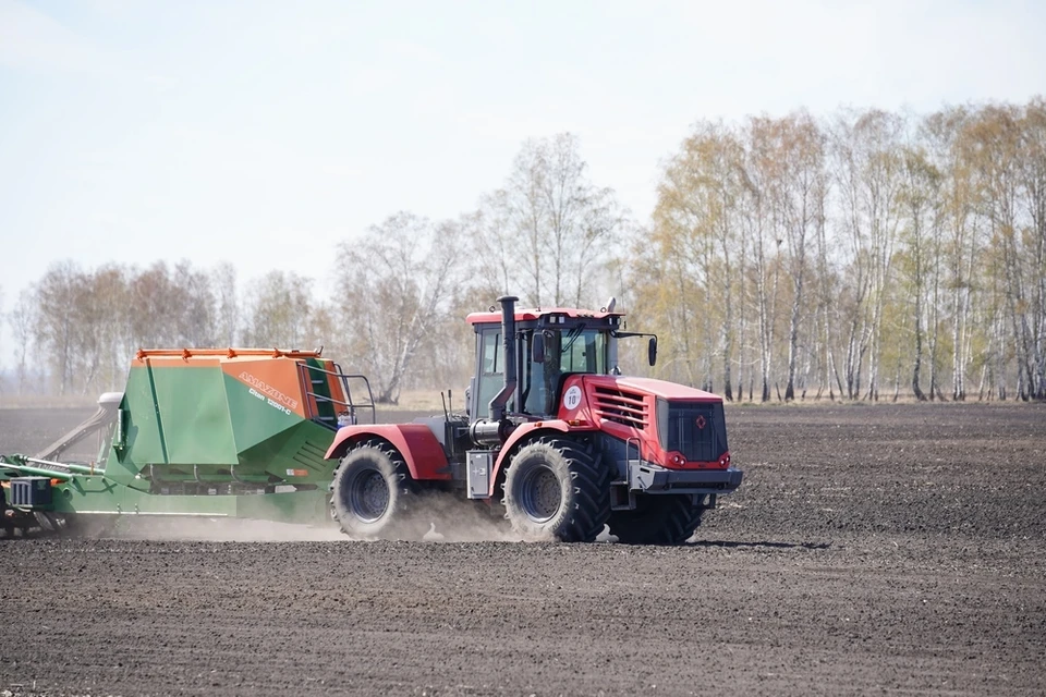 Аграрии Кузбасса планируют собрать рекордный урожай зерна.