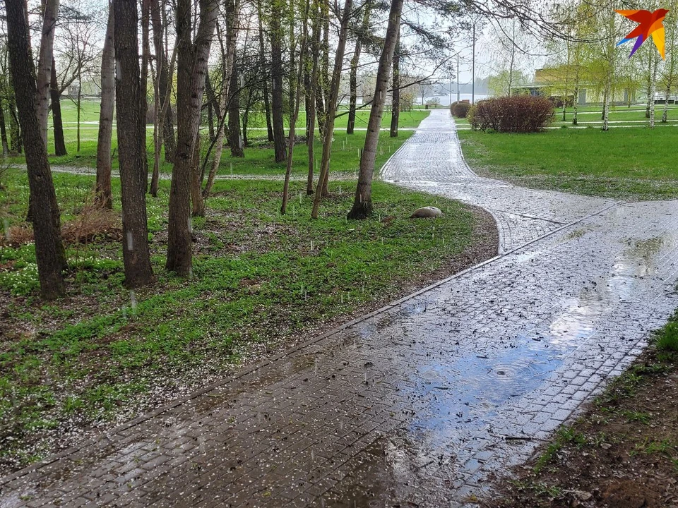 18 мая в Беларуси будет дождливо. Фото: носит иллюстративный характер, архив.