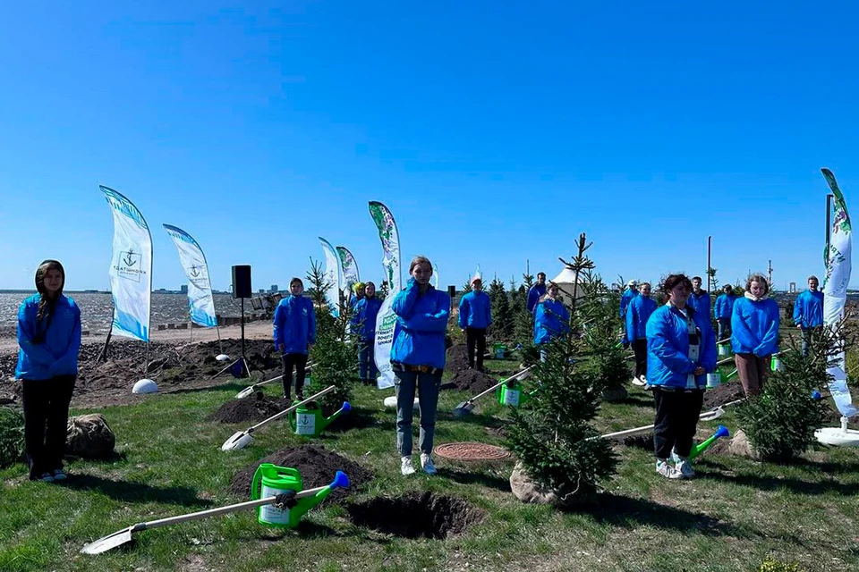 46 деревьев высадили в честь погибших красноармейцев. Фото: t.me/transportniytseh