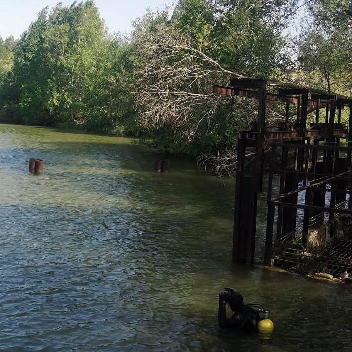 В Самарской области 45-летний мужчина неудачно прыгнул в воду и утонул -  KP.RU