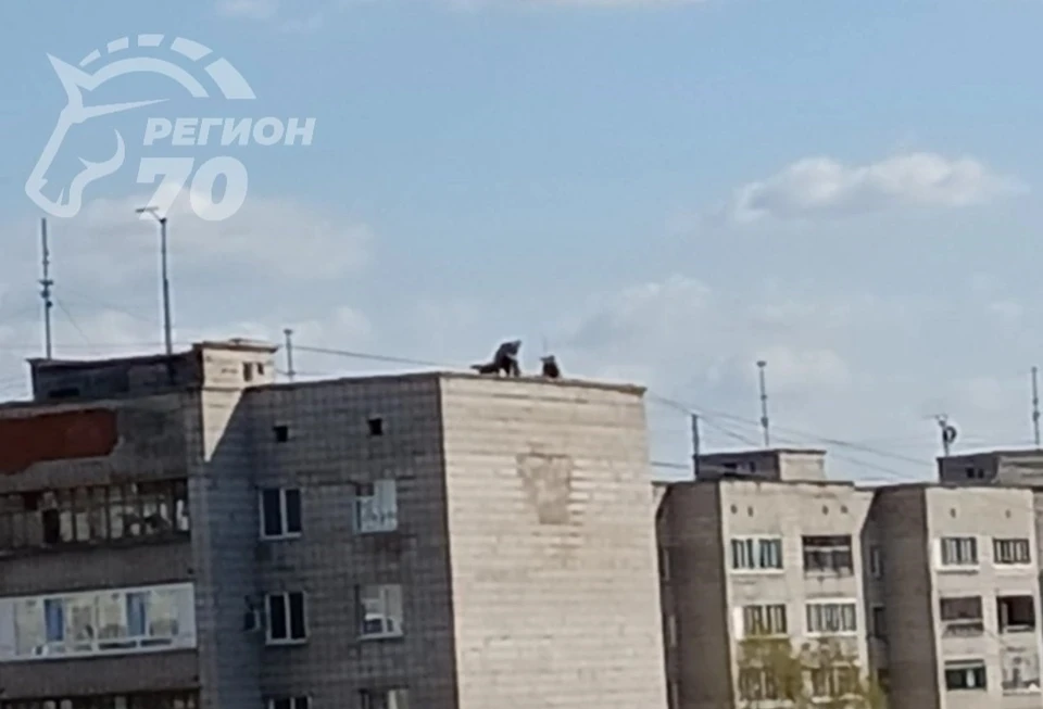 На крыше дома по улице Мюнниха в Томске заметили детей. Фото: Telegram-канал «Регион-70 Томск»